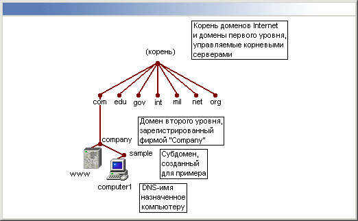 Домен ru является доменом. Иерархическая структура DNS-серверов. Корневой домен. Домен второго уровня. Домен первого и второго уровня.